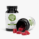 BOOST™ - Cordyceps Gummies