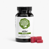 BOOST™ - Cordyceps Gummies