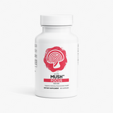 FOCUS™ - Lion's Mane Capsules