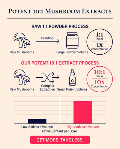 Potent 10:1 Mushroom Extracts