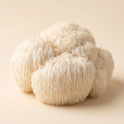 Organic Lion's Mane