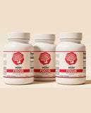 FOCUS™ - Lion's Mane Capsules