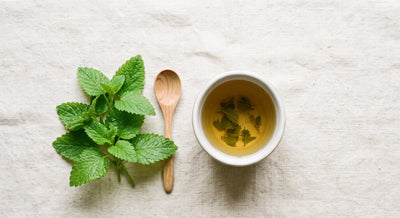 L-Theanine & Lemon Balm