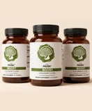 BOOST™ - Cordyceps Gummies