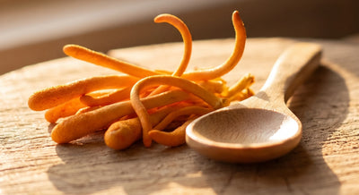 Organic Cordyceps